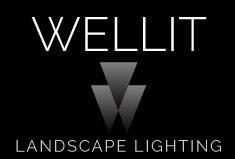 Wellit Logo